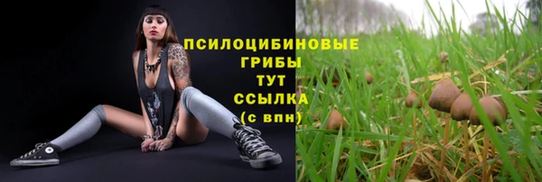 мяу мяу мука Армянск