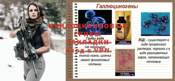 мяу мяу мука Армянск