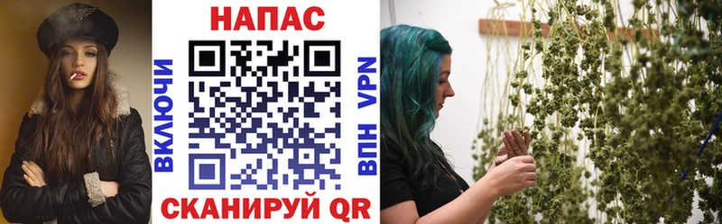 где можно купить наркотик  Старица  Конопля Bruce Banner 